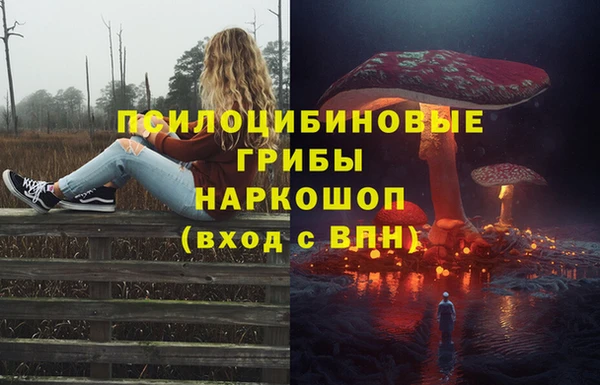 а пвп мука Корсаков