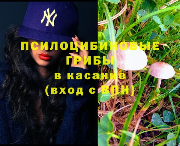 а пвп мука Корсаков