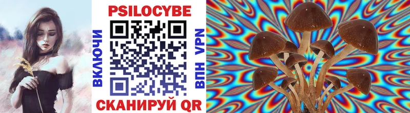 Псилоцибиновые грибы прущие грибы  Купить где  Андреаполь 