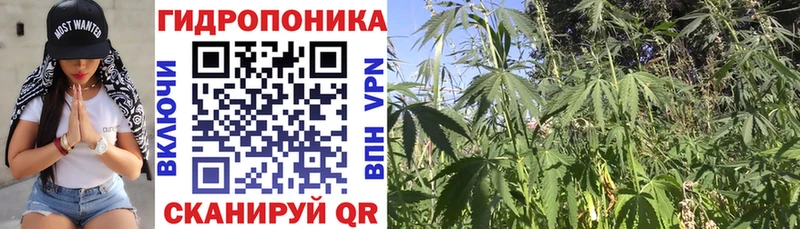 Каннабис ГИДРОПОН Андреаполь